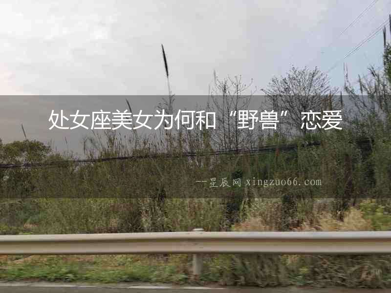 處女座美女為何和“野獸”戀愛