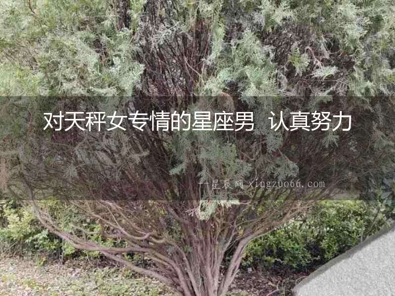對天秤女專情的星座男  認真努力