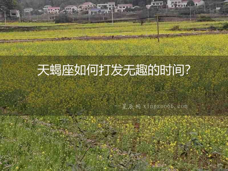 天蝎座如何打發無趣的時間？