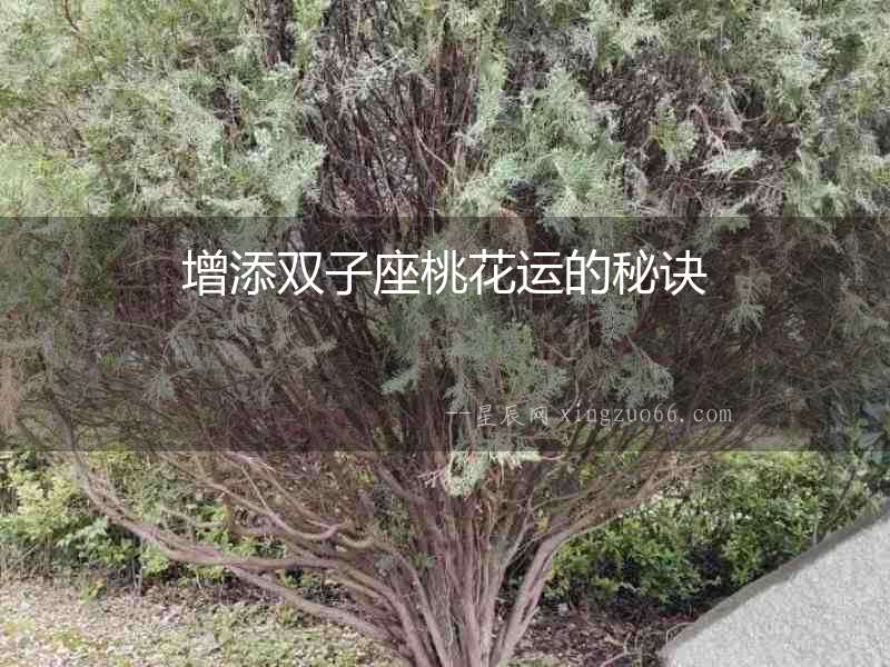 增添雙子座桃花運的秘訣