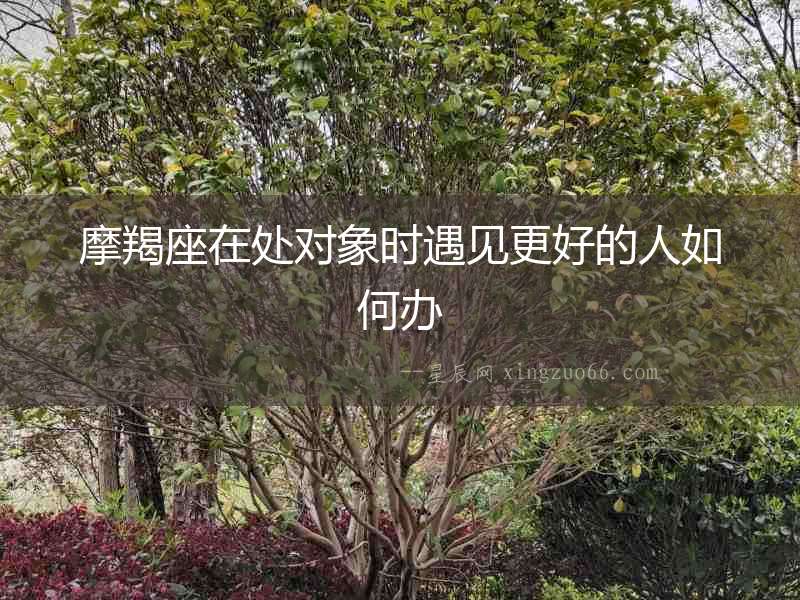 摩羯座在處對象時遇見更好的人如何辦