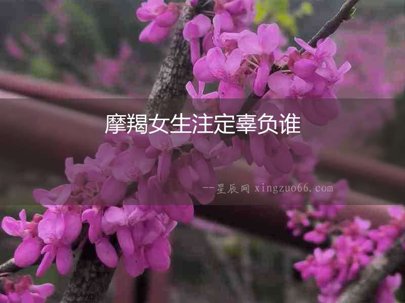 摩羯女生注定辜負誰