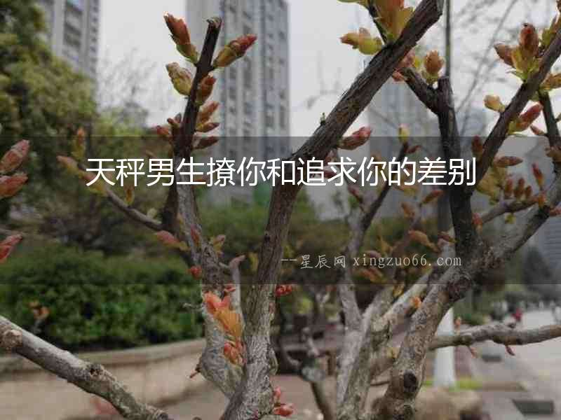 天秤男生撩你和追求你的差別