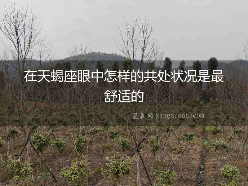 在天蝎座眼中怎樣的共處狀況是最舒適的
