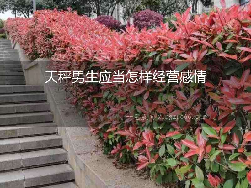 天秤男生應當怎樣經營感情