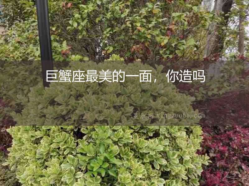 巨蟹座最美的一面，你造嗎