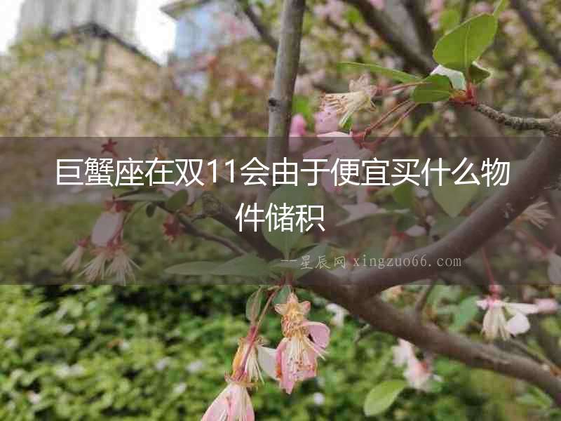 巨蟹座在雙11會由于便宜買什么物件儲積