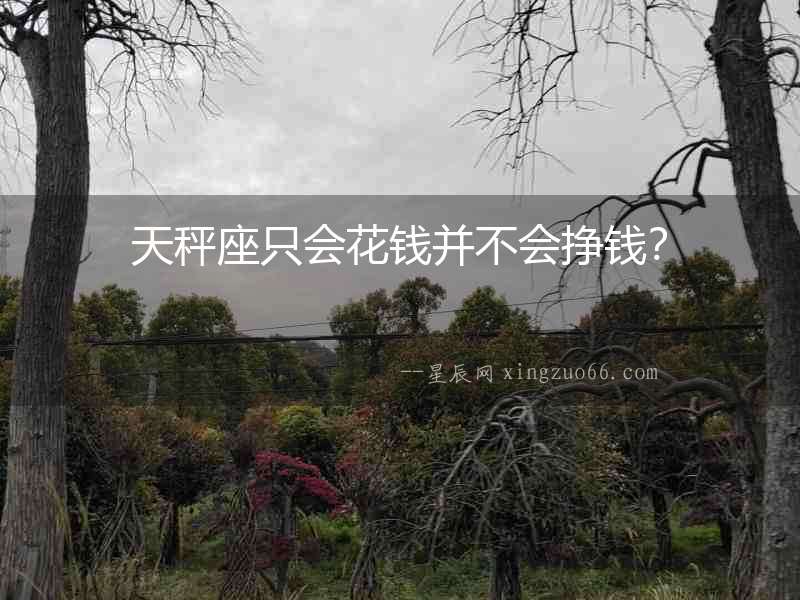 天秤座只會花錢并不會掙錢？