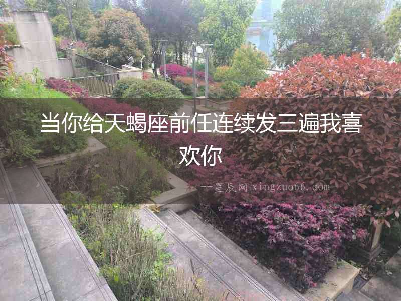 當你給天蝎座前任連續發三遍我喜歡你