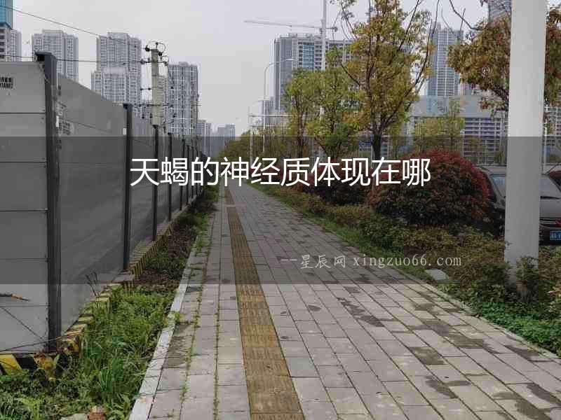 天蝎的神經質體現在哪