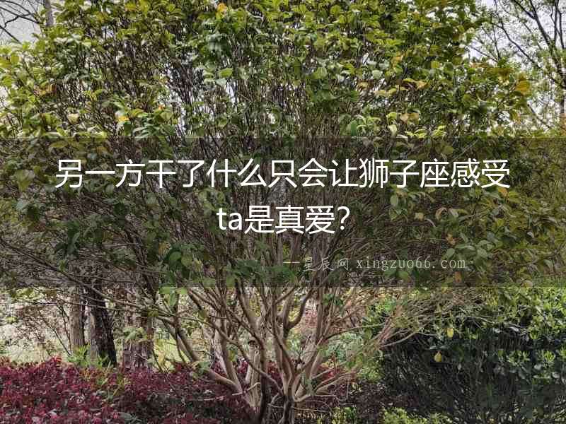 另一方干了什么只會讓獅子座感受ta是真愛？