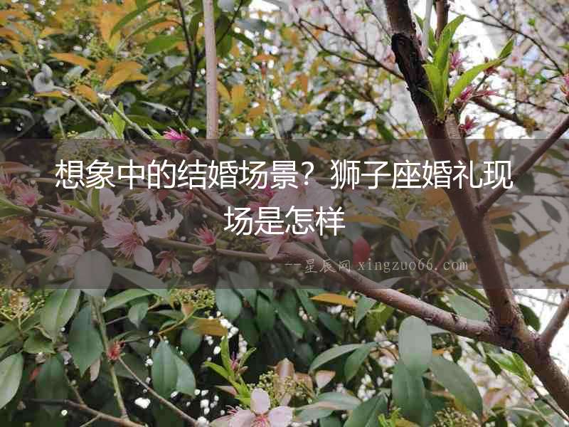 想象中的結(jié)婚場(chǎng)景？獅子座婚禮現(xiàn)場(chǎng)是怎樣