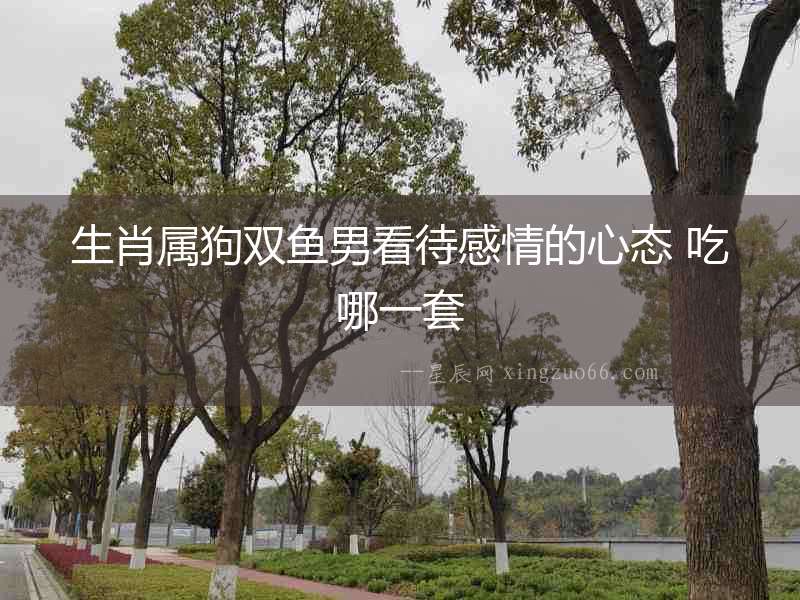生肖屬狗雙魚男看待感情的心態(tài) 吃哪一套