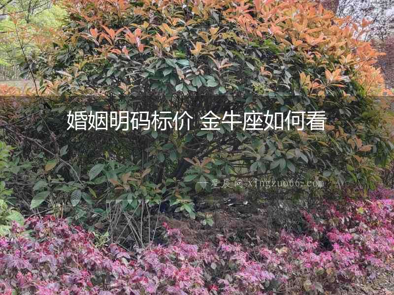 婚姻明碼標價 金牛座如何看