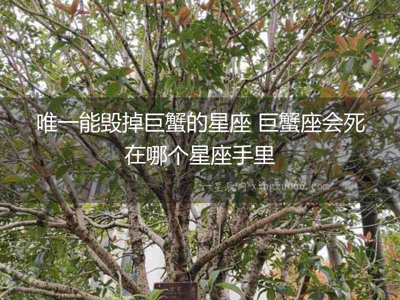 唯一能毀掉巨蟹的星座 巨蟹座會死在哪個星座手里
