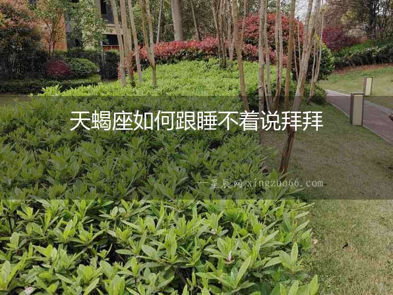 天蝎座如何跟睡不著說拜拜