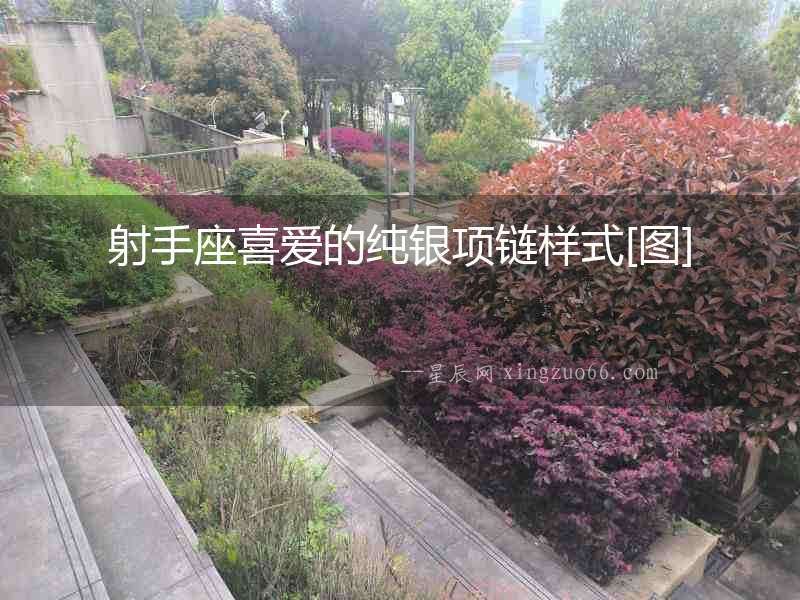 射手座喜愛的純銀項鏈樣式[圖]
