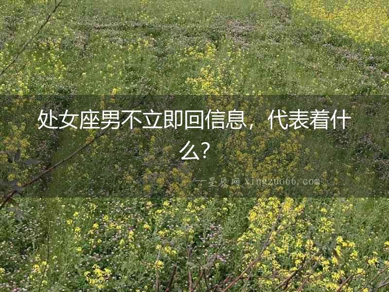 處女座男不立即回信息，代表著什么？