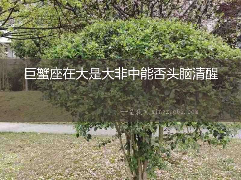 巨蟹座在大是大非中能否頭腦清醒