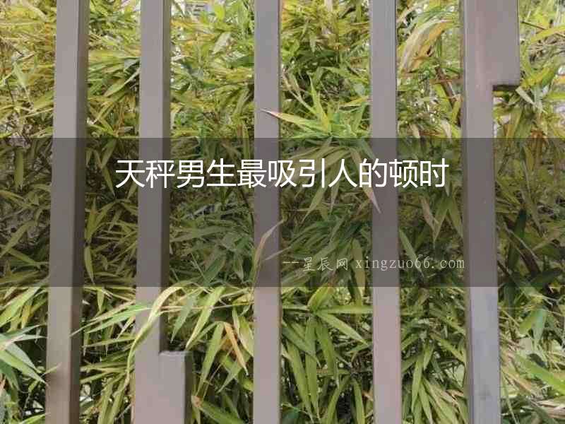 天秤男生最吸引人的頓時