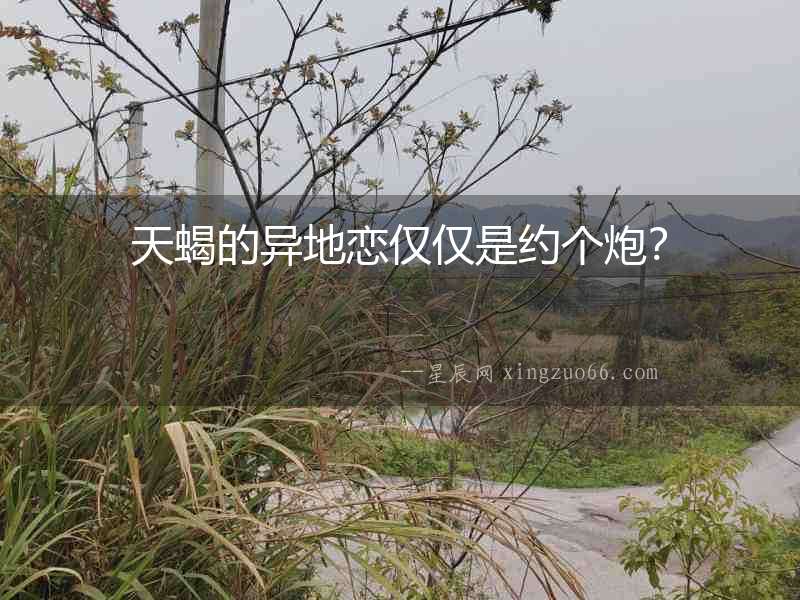 天蝎的異地戀僅僅是約個炮？