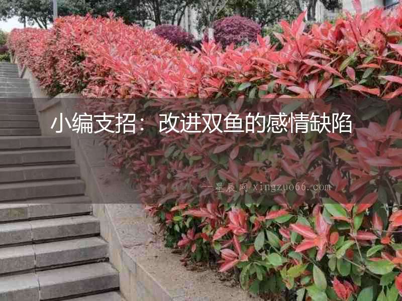 小編支招：改進雙魚的感情缺陷