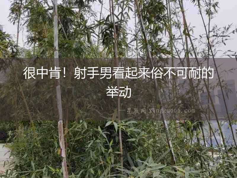 很中肯！射手男看起來俗不可耐的舉動