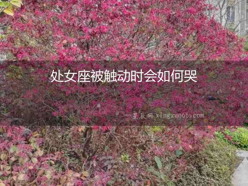 處女座被觸動時會如何哭