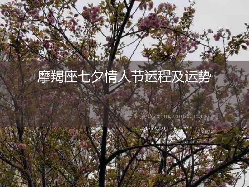 摩羯座七夕情人節(jié)運程及運勢