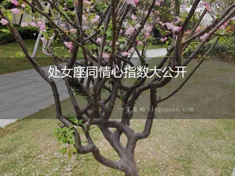 處女座同情心指數大公開