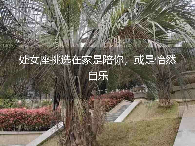 處女座挑選在家是陪你，或是怡然自樂