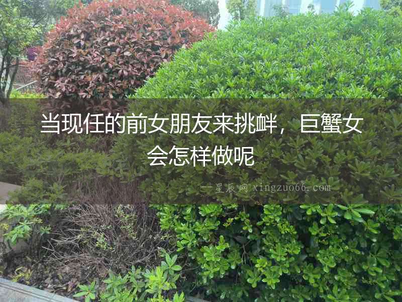 當現任的前女朋友來挑釁，巨蟹女會怎樣做呢