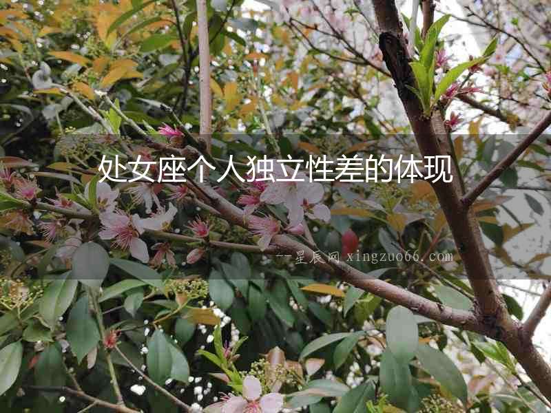 處女座個人獨立性差的體現