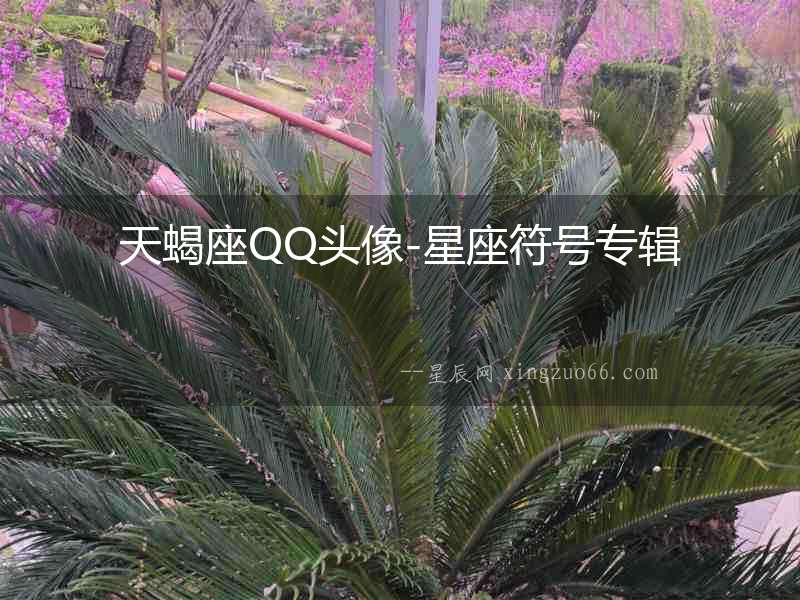 天蝎座QQ頭像-星座符號(hào)專(zhuān)輯