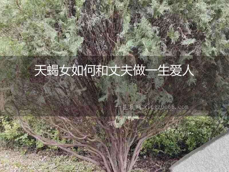 天蝎女如何和丈夫做一生愛人