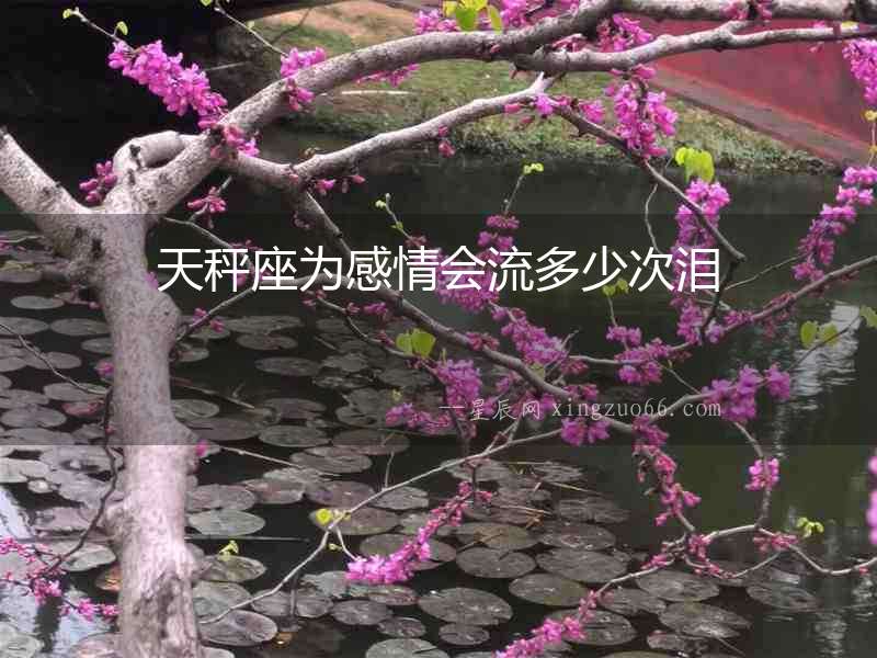 天秤座為感情會流多少次淚