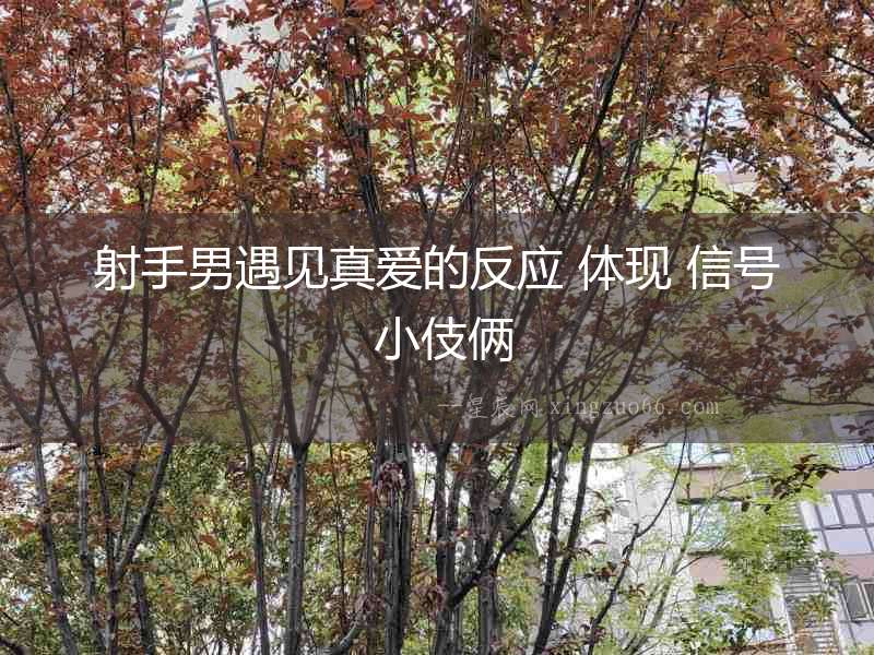 射手男遇見真愛的反應 體現 信號 小伎倆