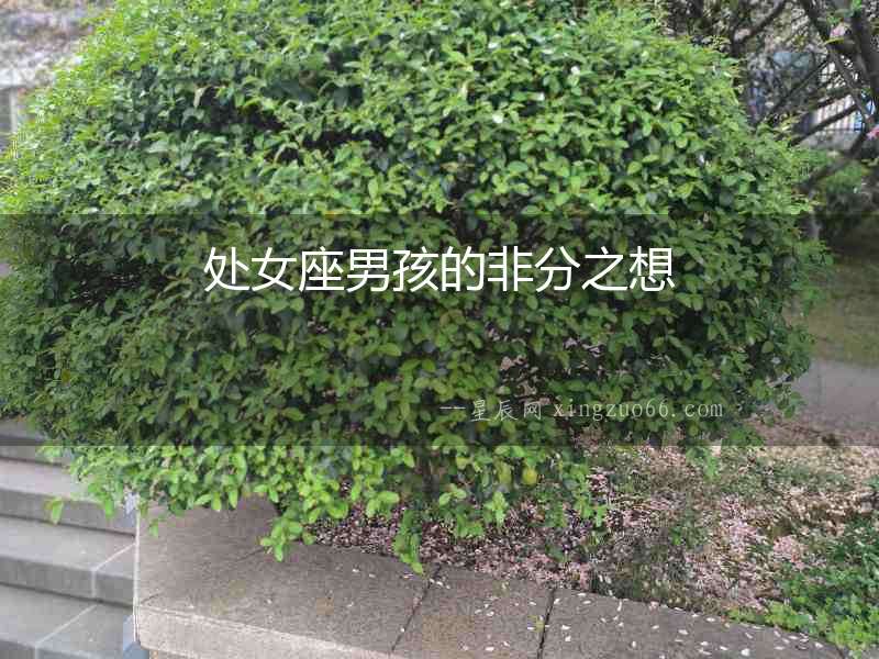 處女座男孩的非分之想