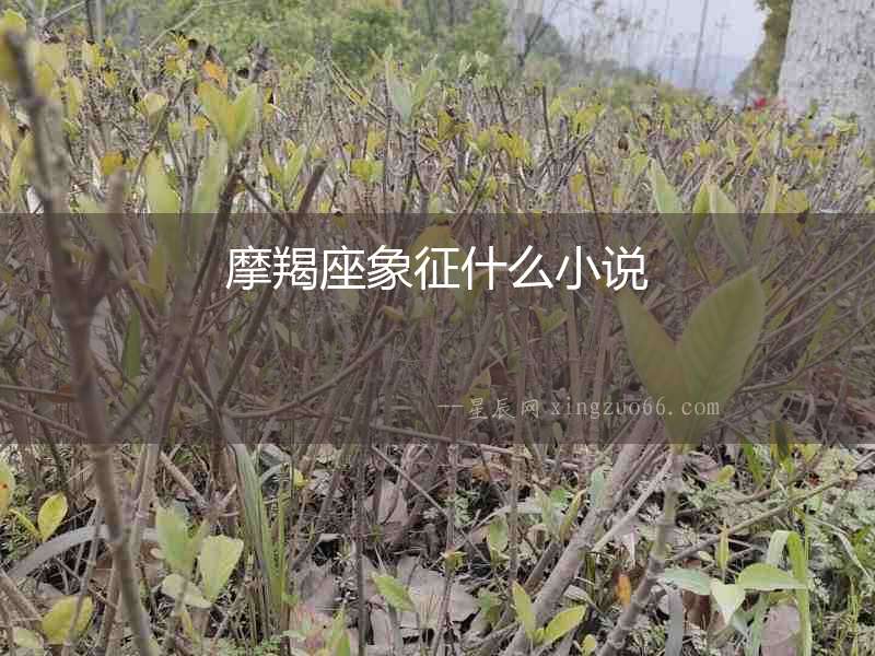 摩羯座象征什么小說