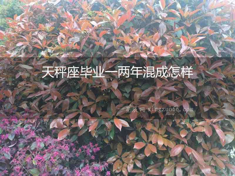 天秤座畢業一兩年混成怎樣
