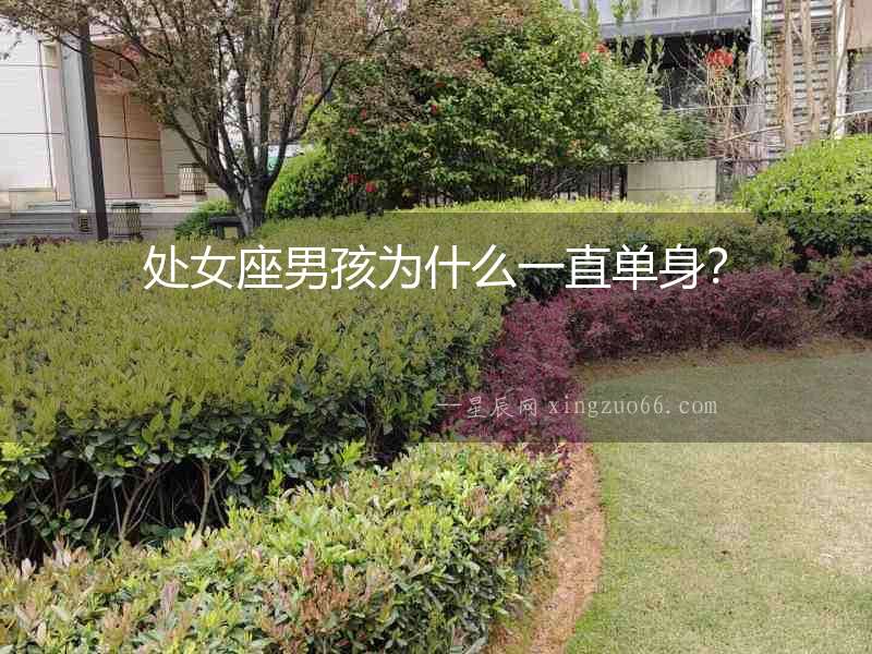 處女座男孩為什么一直單身？
