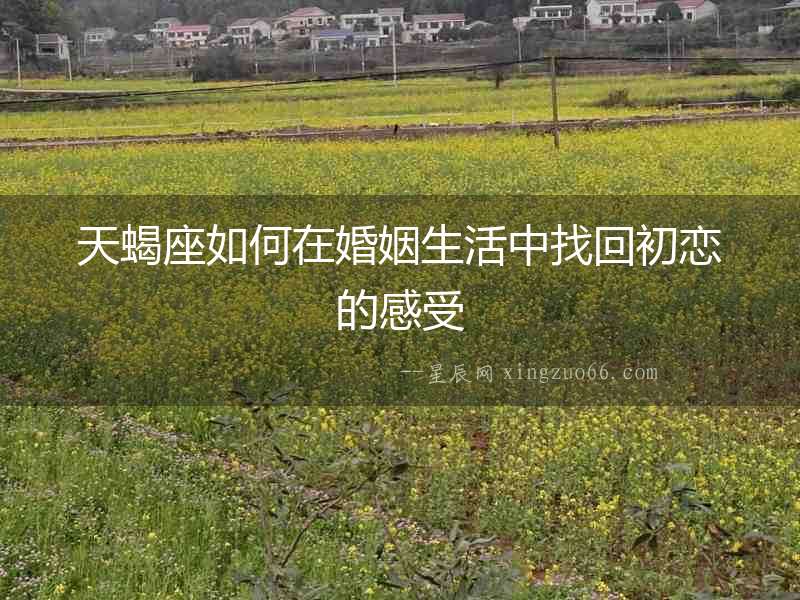 天蝎座如何在婚姻生活中找回初戀的感受
