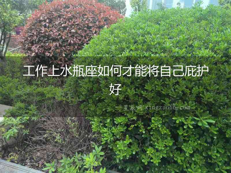 工作上水瓶座如何才能將自己庇護好
