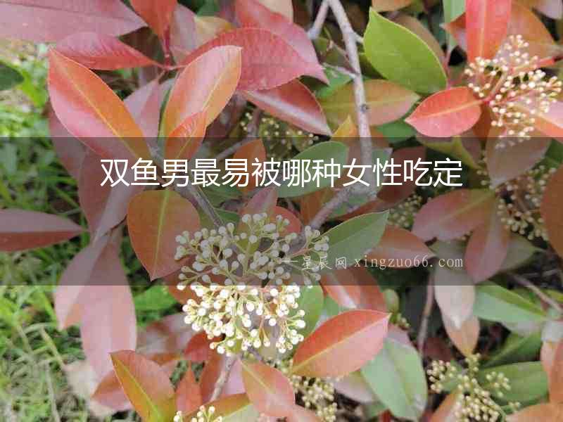 雙魚男最易被哪種女性吃定