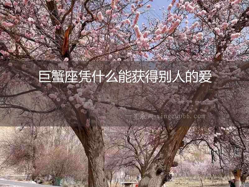 巨蟹座憑什么能獲得別人的愛