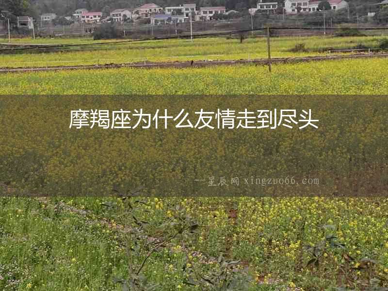 摩羯座為什么友情走到盡頭