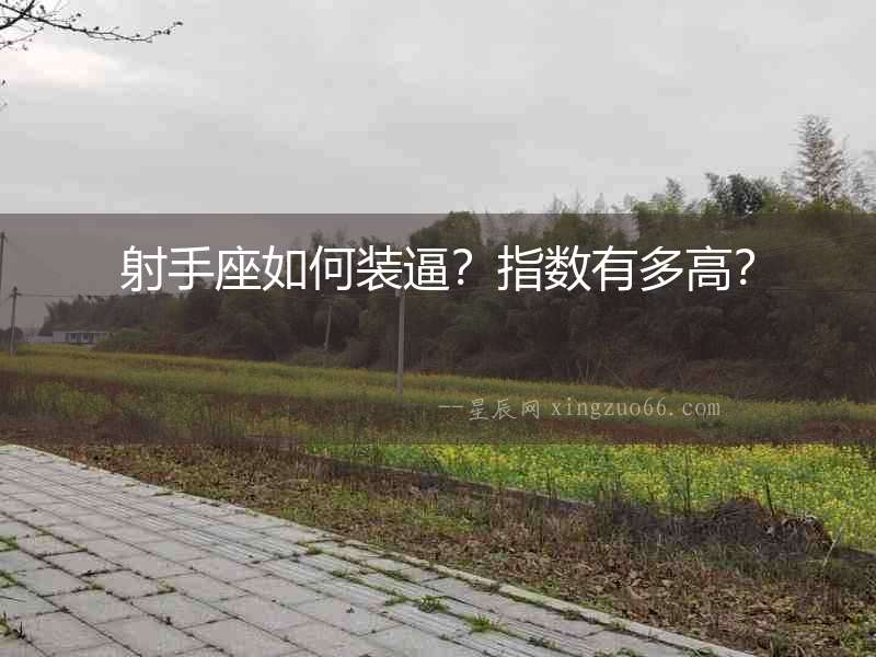 射手座如何裝逼？指數有多高？