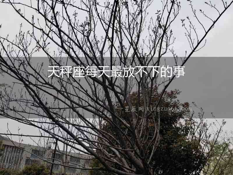 天秤座每天最放不下的事
