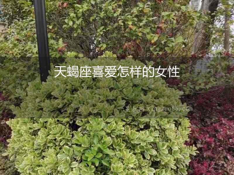 天蝎座喜愛怎樣的女性