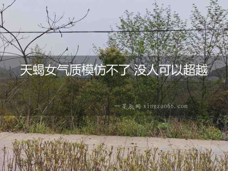 天蝎女氣質模仿不了 沒人可以超越